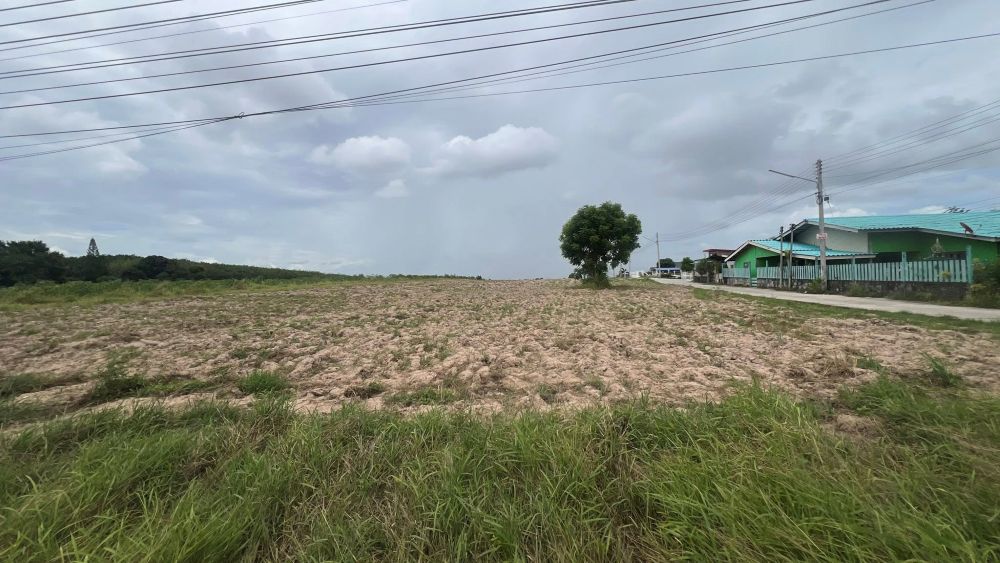 ที่ดินสวย ทำเลทอง ติดถนน ซอย13 นิคมพัฒนา ระยอง 12 ไร่ รูปที่ 5
