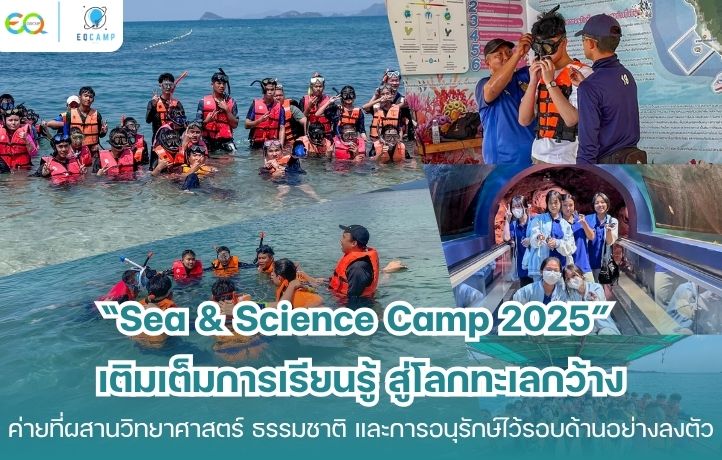 ค่ายวิทยาศาสตร์ทางทะเล l สนุก ปลอดภัย l ประสบการณ์กว่า 20 ปี รูปที่ 1