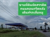 รูปย่อ ขายที่ดินเงินผ่อน 100 ตรว. ราคา180,000บาท  รูปที่2