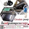 ปั๊มแม่เหล็ก Magnetic pump ปราศจากการรั่วไหล ปลอดภัย ทนทาน ใช้งานง่าย