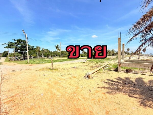 ขาย:ที่ดิน สวย ทำเลทอง โอกาสดี ทำเลทอง ที่ดินติดริมหาดทะเลสวย บ้านบาเฆะ ต.โคกเคียน อ.เมือง จ.นราธิวาส รูปที่ 1