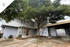 รูปย่อ ขายบ้านเดี่ยวซอยประเสริฐมนูกิจ20 ติดถนนประเสริฐมนูกิจ (DD002078) รูปที่2