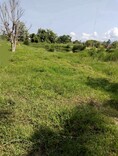 ที่ดินติดถนน น้ำ ไฟฟ้าครบ สันทรายหลวง สันทราย      