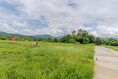 ขายที่ดินวิวเขา แม่ฮ่องสอน – ต.แม่นาเติง อ.ปาย ( 385.5 ตรว.)   