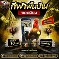 #ufasureasia ศูนย์รวมเกมส์ออนไลน์ ครบวงจร  เกมครบ มีทุกอย่าง