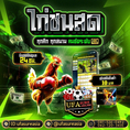 #ufasureasia ศูนย์รวมเกมส์ออนไลน์ ครบวงจร  เกมครบ มีทุกอย่าง