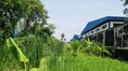 ขายที่ดินท่าข้าม รางโพธิ์ล่าง 378 ตร.ว.ใกล้สวนกุหลาบธนบุรี