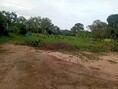 ขายที่ดินกลางเมืองยโสธร 481 ตร.วา  ต.ในเมือง เมืองยโสธร