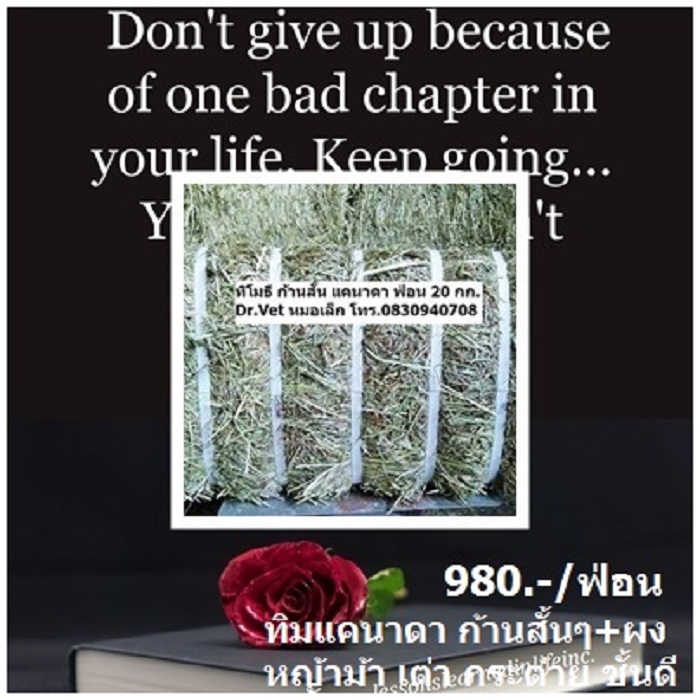 *อัลฟัลฟ่า ทิโมธี หญ้าอาหารสัตว์คุณภาพ   รูปที่ 3