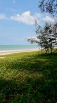  ขายที่ดินเปล่า 8 ไร่ ติดทะเล (ต.เกาะคอเขา อ.ตะกั่วป่า จ.พังงา) ติดถนน 2 ด้าน