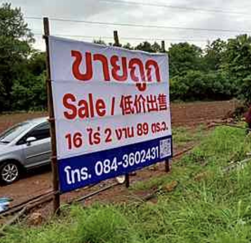 ขายด่วน ที่ดิน จ.ตาก มีต้นสัก 1000 กว่าต้น รูปที่ 5