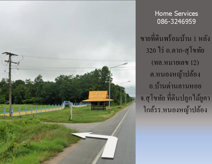 ขายที่ดินพร้อมบ้าน 1 หลัง 320 ไร่ ถ.ตาก-สุโขทัย (ทล.หมายเลข 12) ต.หนองหญ้าปล้อง อ.บ้านด่านลานหอย สุโขทัย ปลูกไม้ยูคา ใกล้รร.หนองหญ้าปล้อง         รูปที่ 5