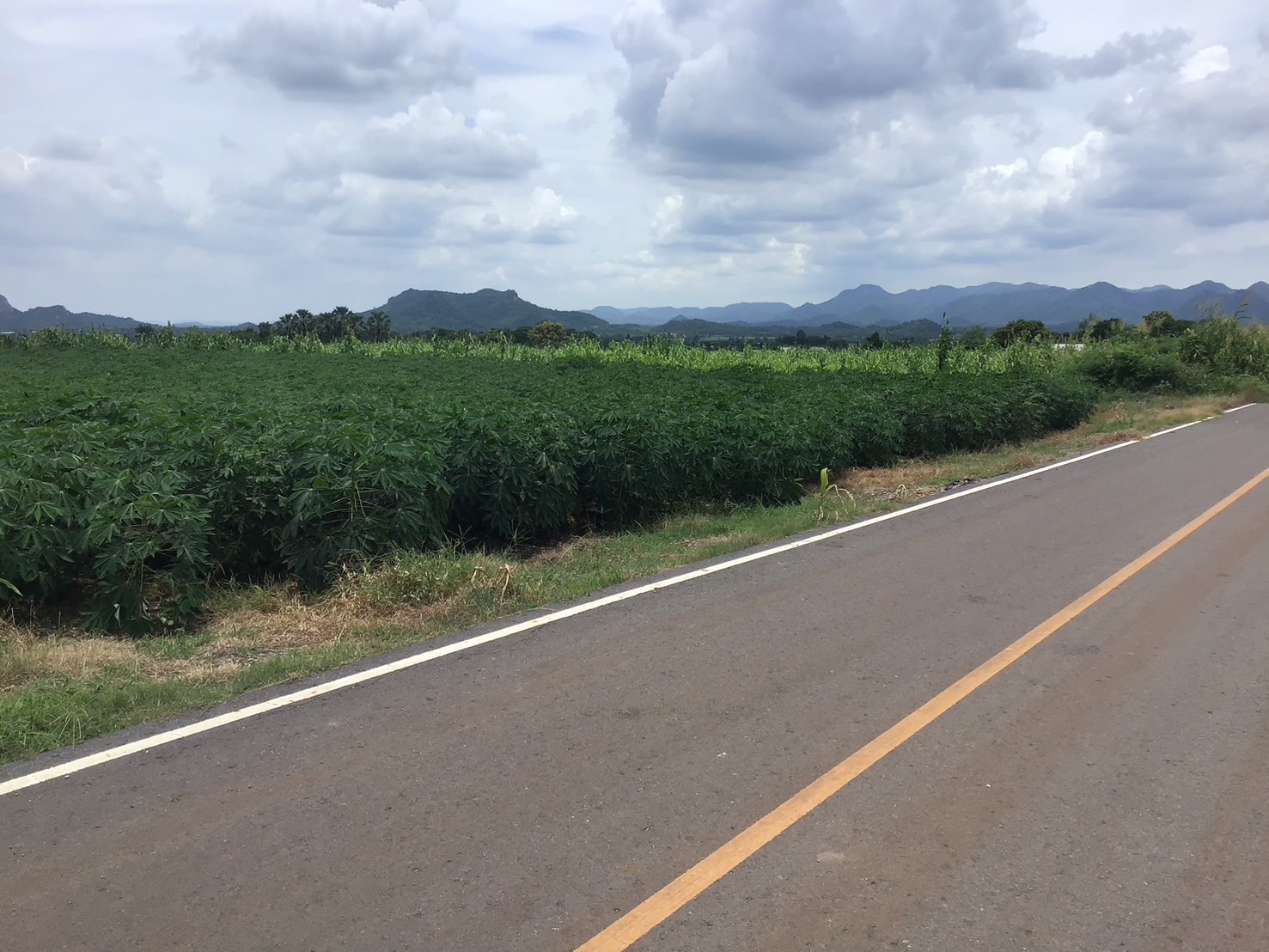 ขายที่ดิน โฉนดครุฑแดง ขนาด 48 ไร่  รูปที่ 7