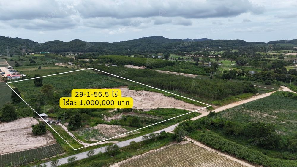 ที่ดินราคาดี นิคมพัฒนา ระยอง ที่สวยบรรยากาศเงียบสงบ 59-3-38.5 ไร่ รูปที่ 3