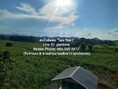 พื้นที่ดิน ขายที่ดินไร่อ้อย เนื้อที่ 45-0-31.9 ไร่ ติดแม่น้ำเลย อ.เมืองเลย จ.เลย, ราคา 18.7 ล้านบาท 18832 ตรว.  18700000 thb พร้อมให้คุณได้จับจอง เลย   