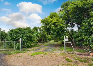 ขายบ้านสวนบรรยากาศธรรมชาติ ใกล้แยกองครักษ์–มศว.นครนายก ที่ดินขนาด 1 ไร่ 1 งาน  รูปที่ 5