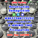 รูปย่อ Semaglutide 5-AMINO-1MQ Retatrutide 910463-68-2  Hot Sale รูปที่3