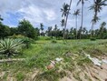 ขายที่ดิน ติดทะเล หาดสวนหลวง ตำบล พงศ์ประศาสน์ บางสะพาน ประจวบคีรีขันธ์  หน้ากว้างติดทะเล 80 เมตร ด้านหลังติดถนน เนื้อที่ 11-1-90 ไร่