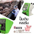 ปั๊มเติม Flavor ที่แข็งแกร่ง ทนทานเคมี พร้อมลุยทุกสภาวะในกระบวนการผลิตอาหารสัตว์