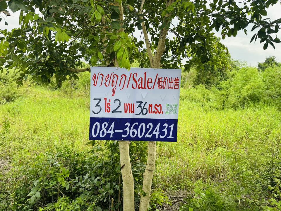 ขายที่ดิน อ. ท่าเรือ อยุธยา (ไร่ละ 1 ล้าน) รูปที่ 4