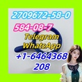 1119-51-3.1