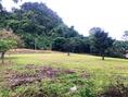 ขายที่ดิน 470 ตร.ว. แปลงมุม ในสนามกอล์ฟเซอร์เจมส์คันทรีคลับ Forest Hill มวกเหล็ก สระบุรี