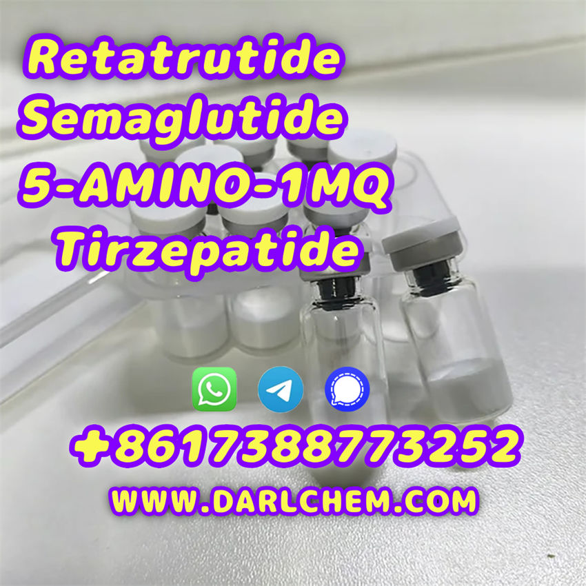 Semaglutide 5-AMINO-1MQ Retatrutide 910463-68-2  Hot Sale รูปที่ 6