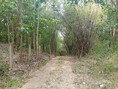พื้นที่ดิน ที่ดิน ต.ปอน อ.ทุ่งช้าง จ.น่าน  พ.ท. 408 RAI 1 NGAN 3 ตร.ว. 73400000 บาท   โครตคุ้ม น่าน   