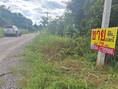 ที่ดินเปล่า 80 ตรว.  ตรงข้าม อบต.แดงใหญ่ อ.เมืองขอนแก่น จ.ขอนแก่น