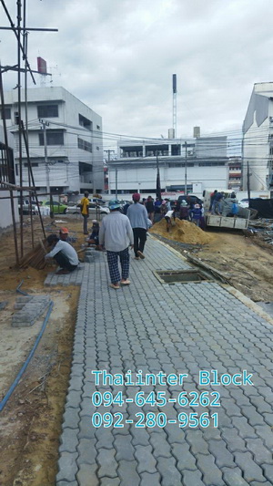 บล็อกตัวหนอน แผ่นทางเท้า  บล็อกปูหญ้า บล็อกแปดเหลี่ยม   https://www.thaiinterblock.com/ รูปที่ 2