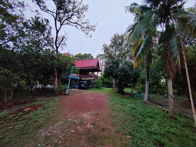 ขายที่ดินพร้อมสิ่งปลูกสร้าง บ้านเรือนไทย โฉนดที่ดิน ครุฑแดง อำนาจเจริญ  รูปที่ 6