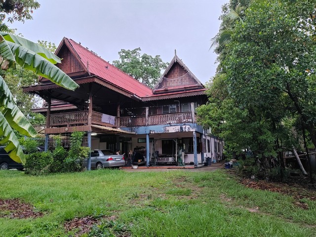 ขายที่ดินพร้อมสิ่งปลูกสร้าง บ้านเรือนไทย โฉนดที่ดิน ครุฑแดง อำนาจเจริญ  รูปที่ 3