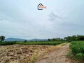 ขายที่ดินวิวสวย เขาใหญ่ – ทำเลทอง ตำบลคลองม่วง ปากช่อง