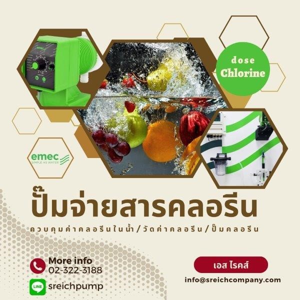 Dosing Pumps เครื่องเติมสารละลายในการผลิตน้ำดื่มตามมาตรฐาน NSF รูปที่ 3