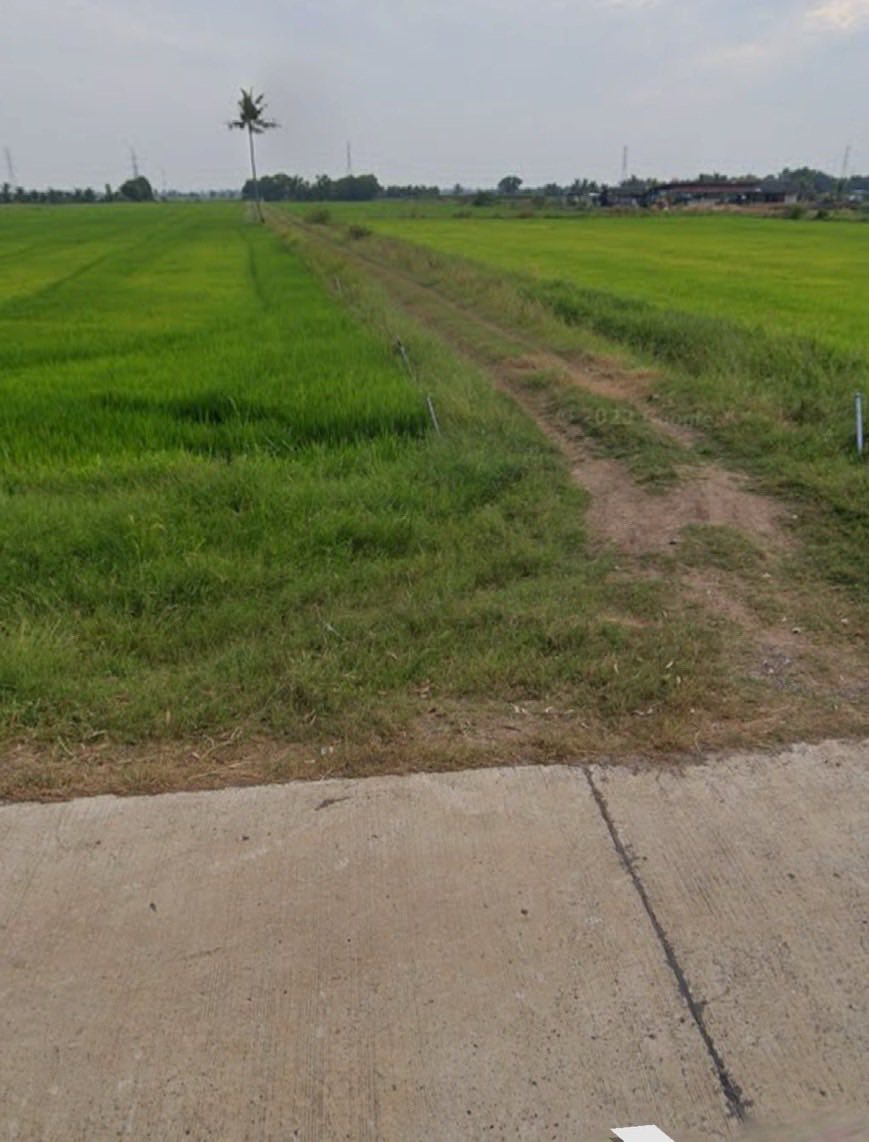 ขายที่นา 100 ไร่ ตำบลหมอนทอง อำเภอบางน้ำเปรี้ยว จังหวัดฉะเชิงเทรา รูปที่ 3