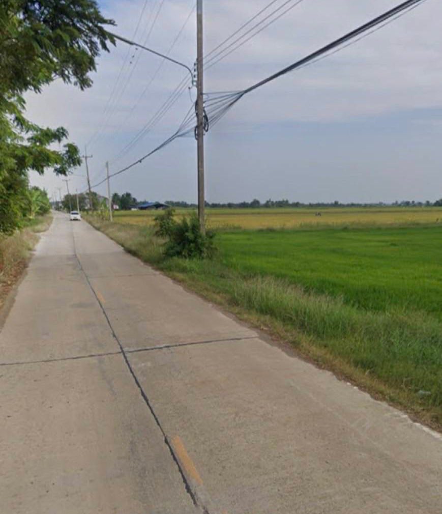 ขายที่นา 100 ไร่ ตำบลหมอนทอง อำเภอบางน้ำเปรี้ยว จังหวัดฉะเชิงเทรา รูปที่ 5