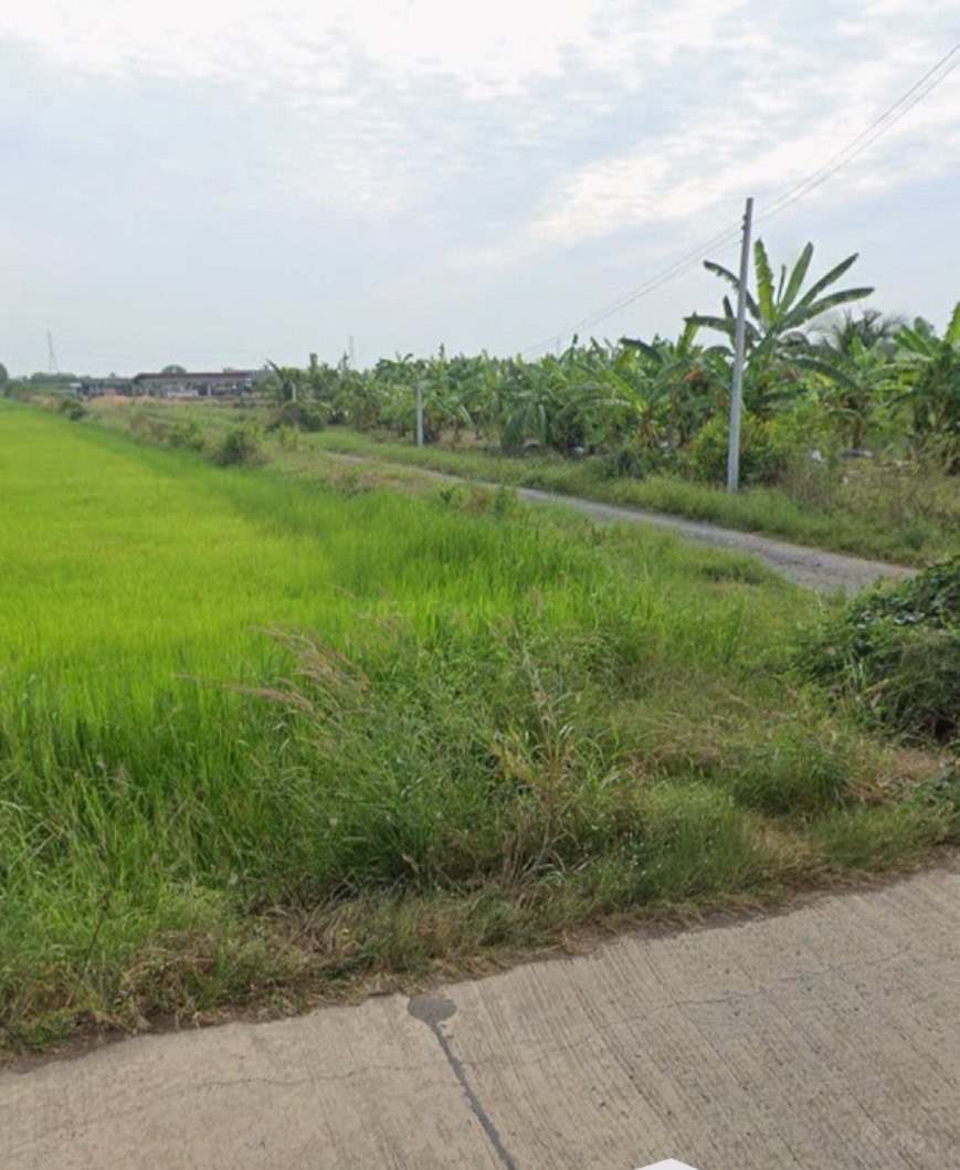 ขายที่นา 100 ไร่ ตำบลหมอนทอง อำเภอบางน้ำเปรี้ยว จังหวัดฉะเชิงเทรา รูปที่ 4