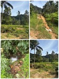 ขาย ที่ดินท่ากลางทำธรรมชาติอยู่ใน ซอย 7 ท่อ อำเภอเมือง จังหวัดระนอง 4ไร่3งาน 75 ตารางวา