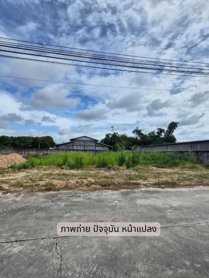 ที่ดินแปลงสวย บ้านฉาง ระยอง ทำเลทอง ใกล้ทะเล พื้นที่ 200 ตร.ว. รูปที่ 4