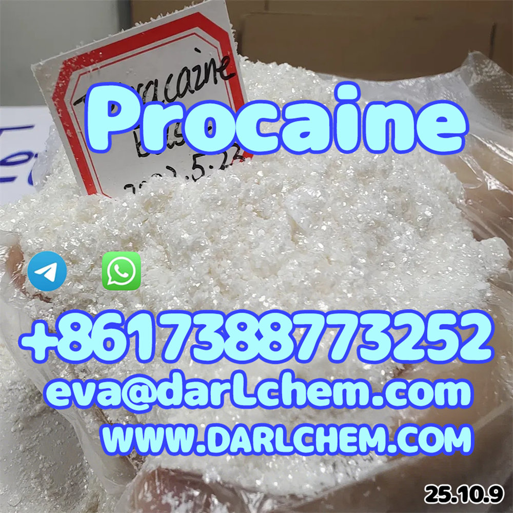 Factory Supply Procaine crystals Powder 59-46-1 High Quality รูปที่ 3