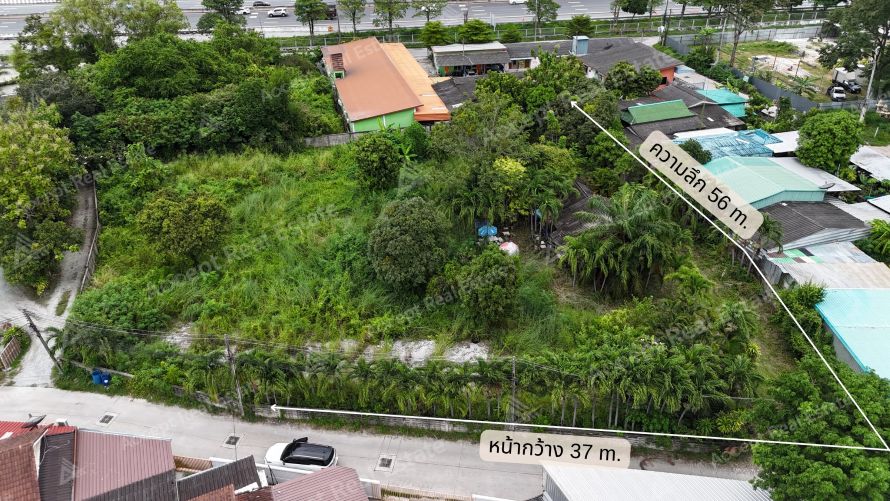 ที่ดินสวย ทำเลทอง อำเภอเมือง ชลบุรี 1-1-66 ไร่ รูปที่ 3