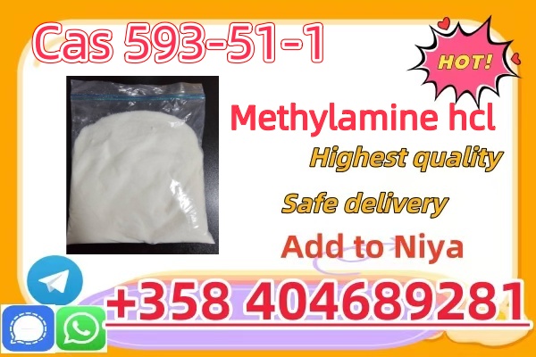 CAS 593-51-1 Methylamine hydrochloride Factory Supply High Purity 100% Safe Delivery    รูปที่ 3