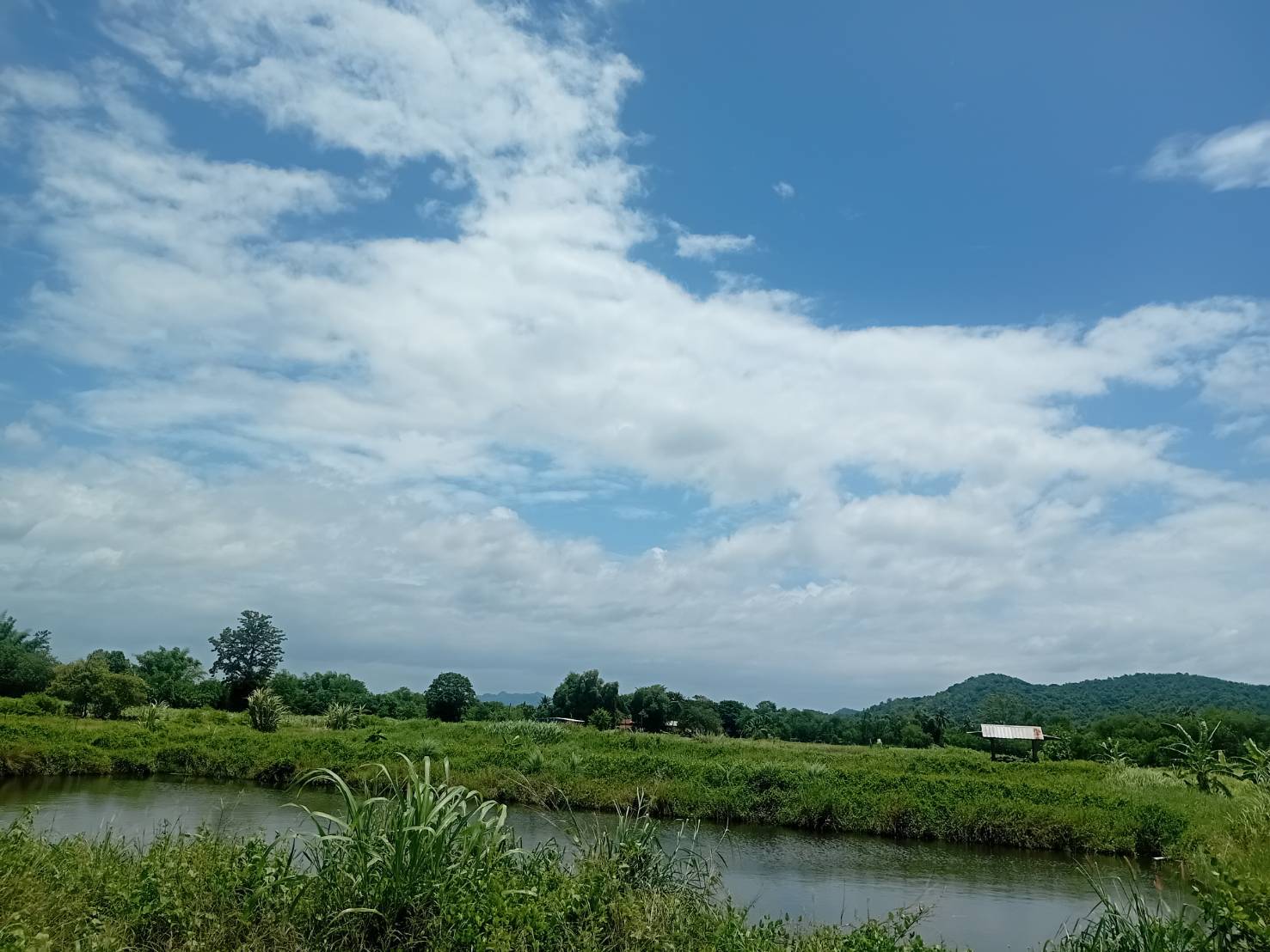 ขายที่ดินสวย ติดถนน วิวภูเขา อำเภอบ้านไร่ อุทัยธานี  เหมาะอยู่อาศัย ทำบ้านสวน รูปที่ 4