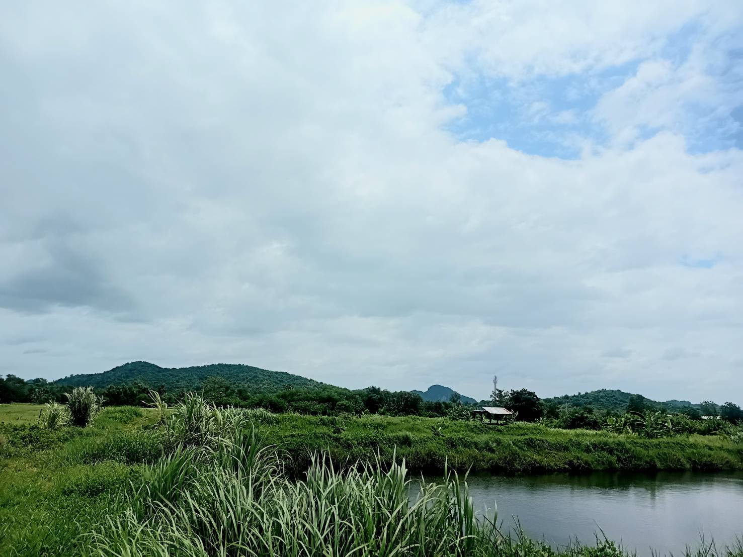 ขายที่ดินสวย ติดถนน วิวภูเขา อำเภอบ้านไร่ อุทัยธานี  เหมาะอยู่อาศัย ทำบ้านสวน รูปที่ 3