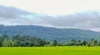 รูปย่อ ขายที่ดินแปลงใหม่ วิวเขาสวยที่สุด......ใกล้ถนนลาดยางชุมชนตรงข้ามมีร้านของชำและตลาดตอนเย็น. รูปที่1