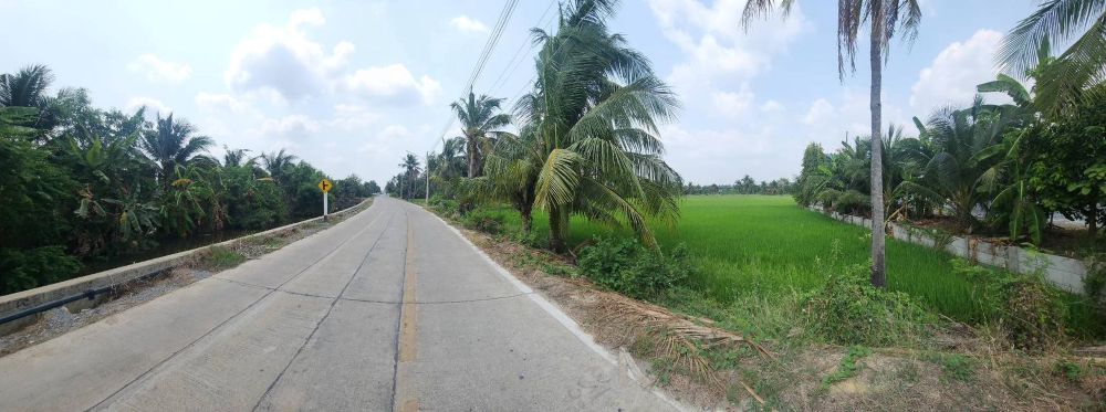 ขายที่ดินทำเลศักยภาพ พุทธมณฑลสาย 5 สามพราน นครปฐม 1-0-47 ไร่ รูปที่ 5