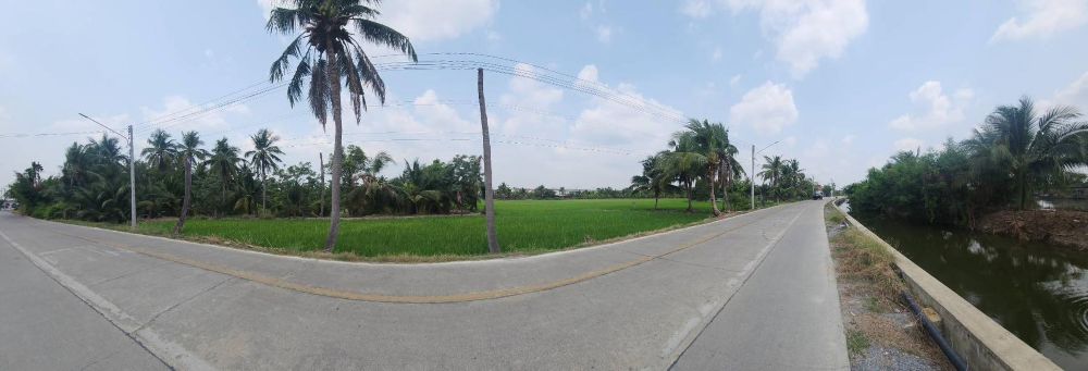 ขายที่ดินทำเลศักยภาพ พุทธมณฑลสาย 5 สามพราน นครปฐม 1-0-47 ไร่ รูปที่ 4