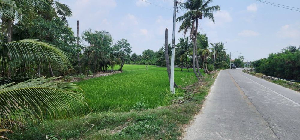 ขายที่ดินทำเลศักยภาพ พุทธมณฑลสาย 5 สามพราน นครปฐม 1-0-47 ไร่ รูปที่ 3