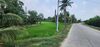 รูปย่อ ขายที่ดินทำเลศักยภาพ พุทธมณฑลสาย 5 สามพราน นครปฐม 1-0-47 ไร่ รูปที่2