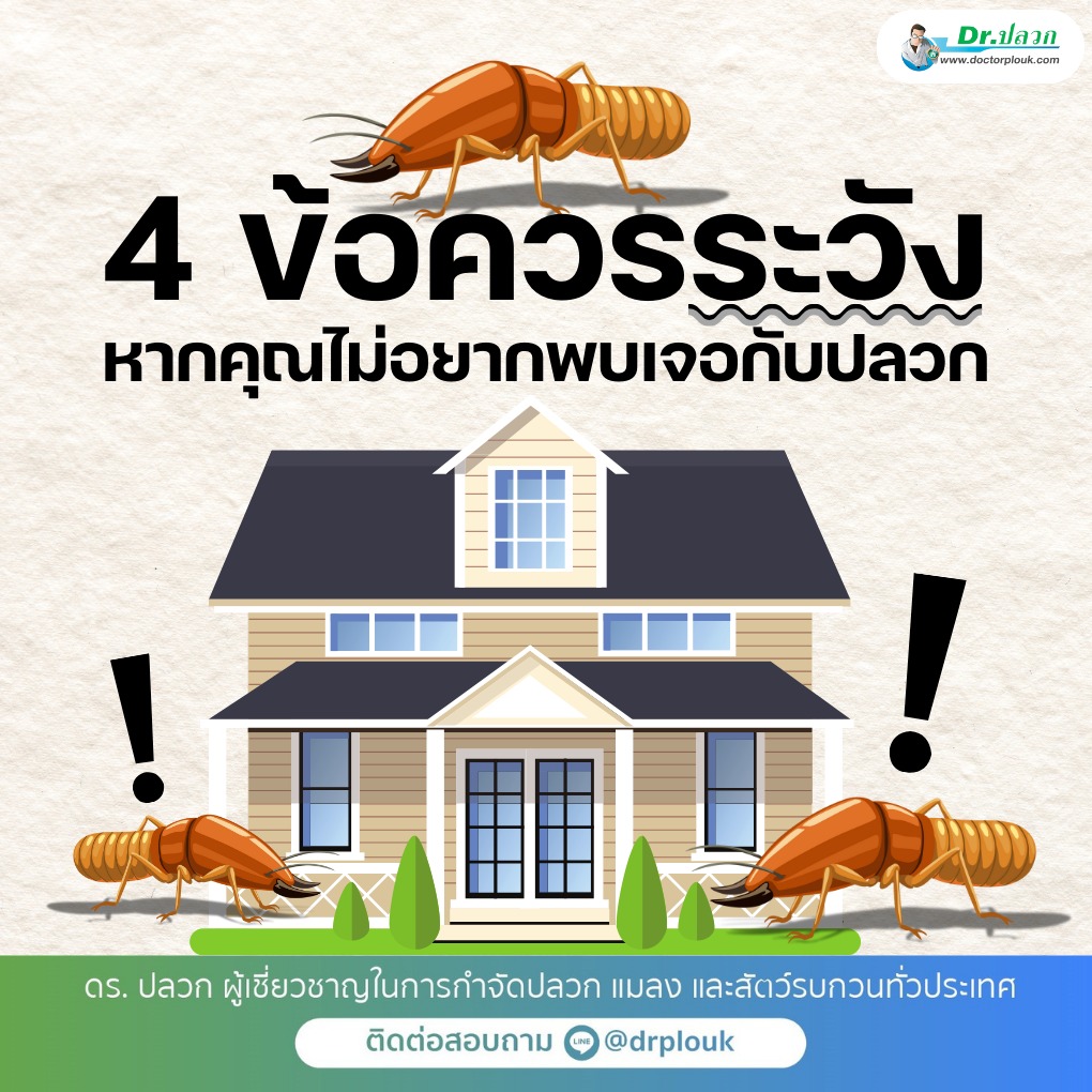 รูปภาพ 4 ข้อควรระวัง! หากคุณไม่อยากพบเจอกับปลวก“Dr.ปลวก